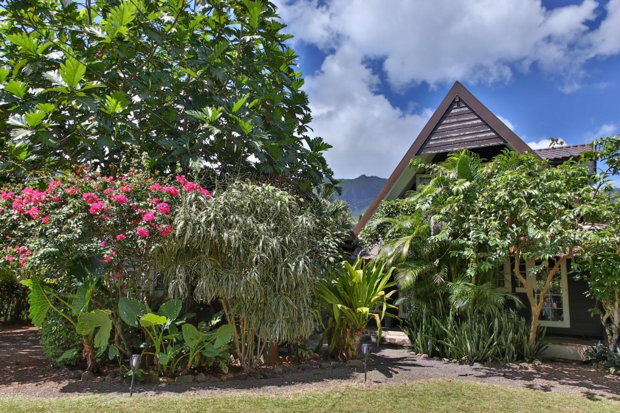 Fare Haurevaiti Moorea Paopao Luaran gambar