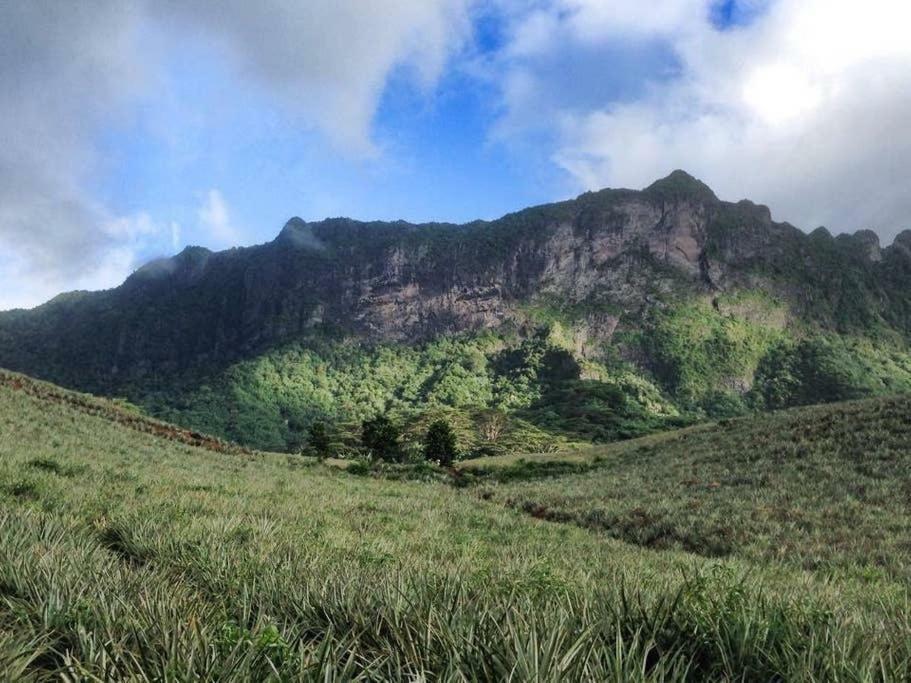 Fare Haurevaiti Moorea Paopao Luaran gambar