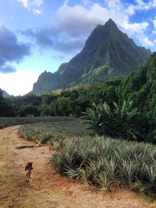 Fare Haurevaiti Moorea Paopao Luaran gambar