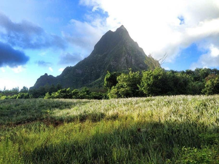 Fare Haurevaiti Moorea Paopao Luaran gambar