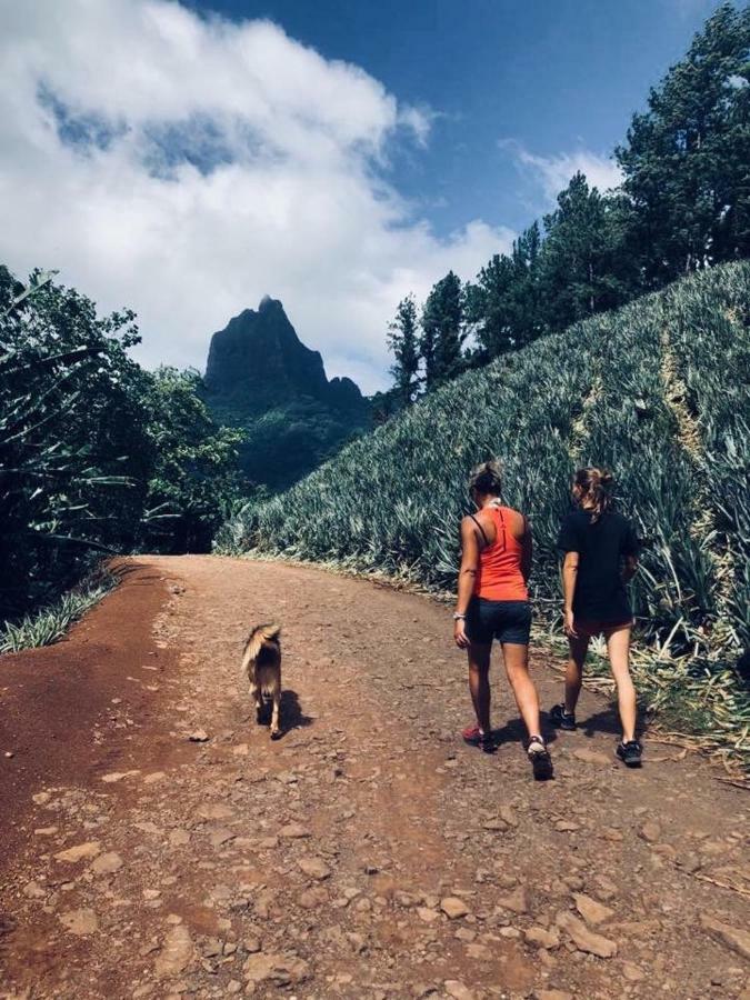 Fare Haurevaiti Moorea Paopao Luaran gambar